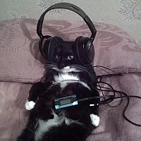 Flow55