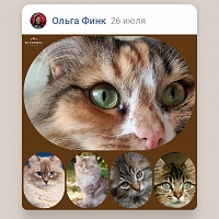 Olyga_Fink