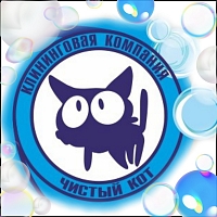 cleancat