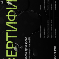 YudaevSchool, PRO Design, 2025-2026