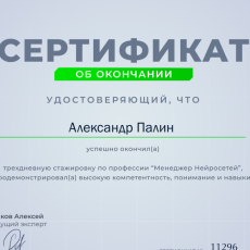 Менеджер нейросетей