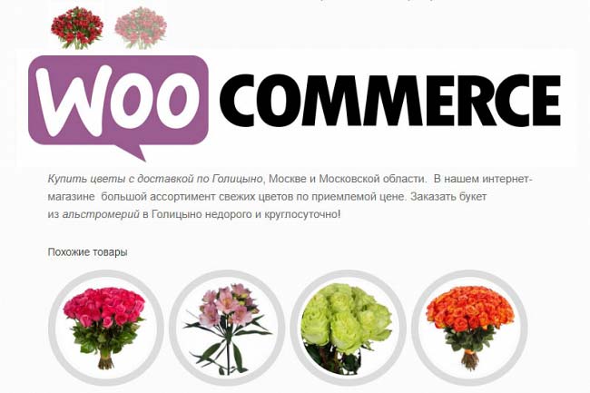 Импорт товаров в WooCommerce, интернет-магазин на Вордпресс. 1