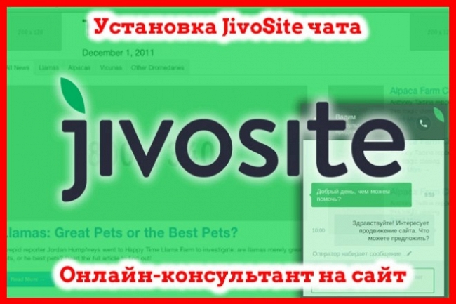 Установка чата JivoSite на сайт 1