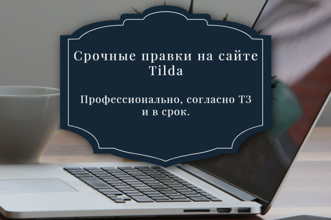 Специалист по созданию сайтов на Тильда 1