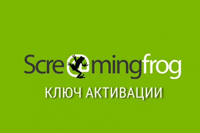 Ключ активации - Screaming Frog SEO Spider 1