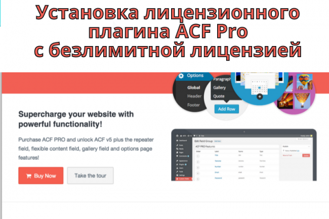 Установлю плагин ACF PRO с безлимитной лицензией на сайт WP 1