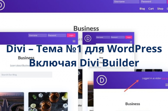 Установка лицензионной WordPress темы Divi + плагина Divi Builder 1