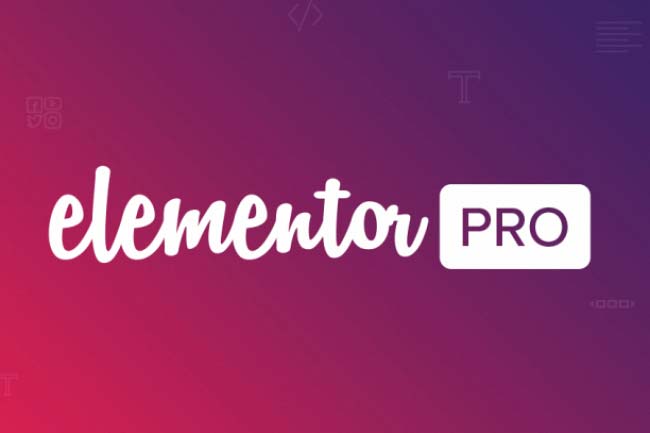 Установлю и активирую плагин Elementor PRO 1