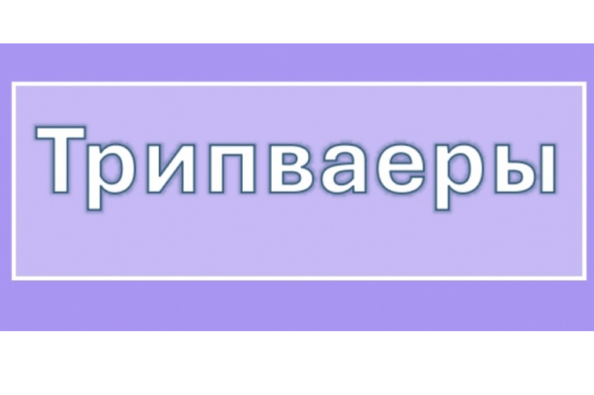 Трипваеры