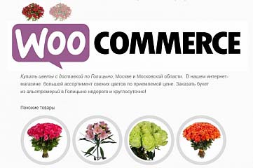 Импорт товаров в WooCommerce, интернет-магазин на Вордпресс.