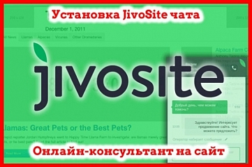 Установка чата JivoSite на сайт