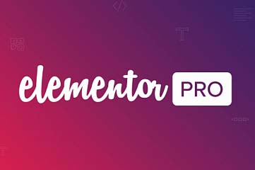 Установлю и активирую плагин Elementor PRO