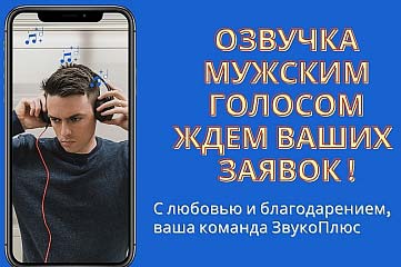 Озвучка профессиональным мужским голосом