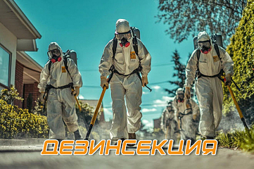 Лендинг - Дезинсекция уничтожение насекомых