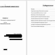 Реферат по БЖД