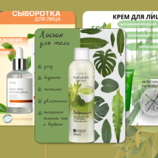 Инфографика