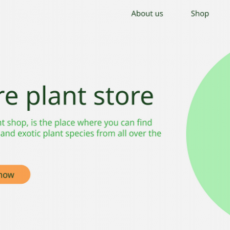 ExoticPlant