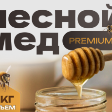 Мёд