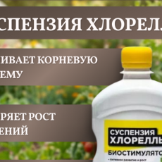 дизайн карточки товара для маркетплейса