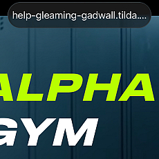 ALPHA FITNESS